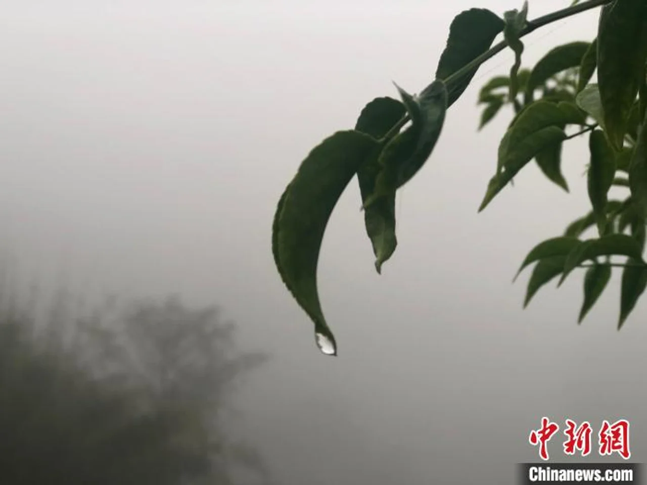江西强对流天气进入高发期 未来将迎来大范围暴雨