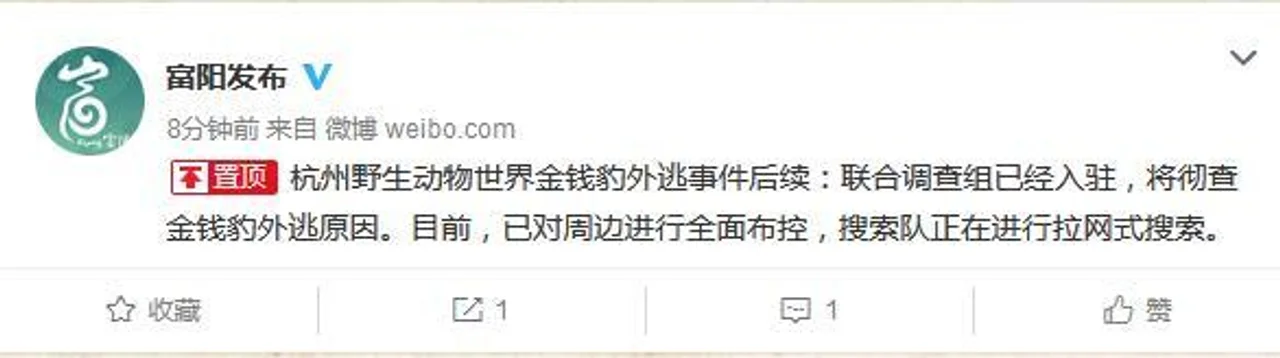 杭州野生动物世界金钱豹外逃 联合调查组已经入驻