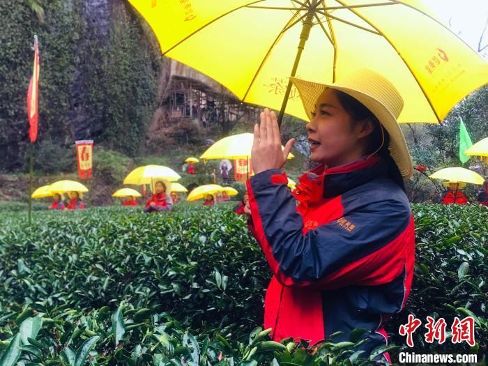武夷山旅游释放活力 燕子窠、服务区成旅游新热点