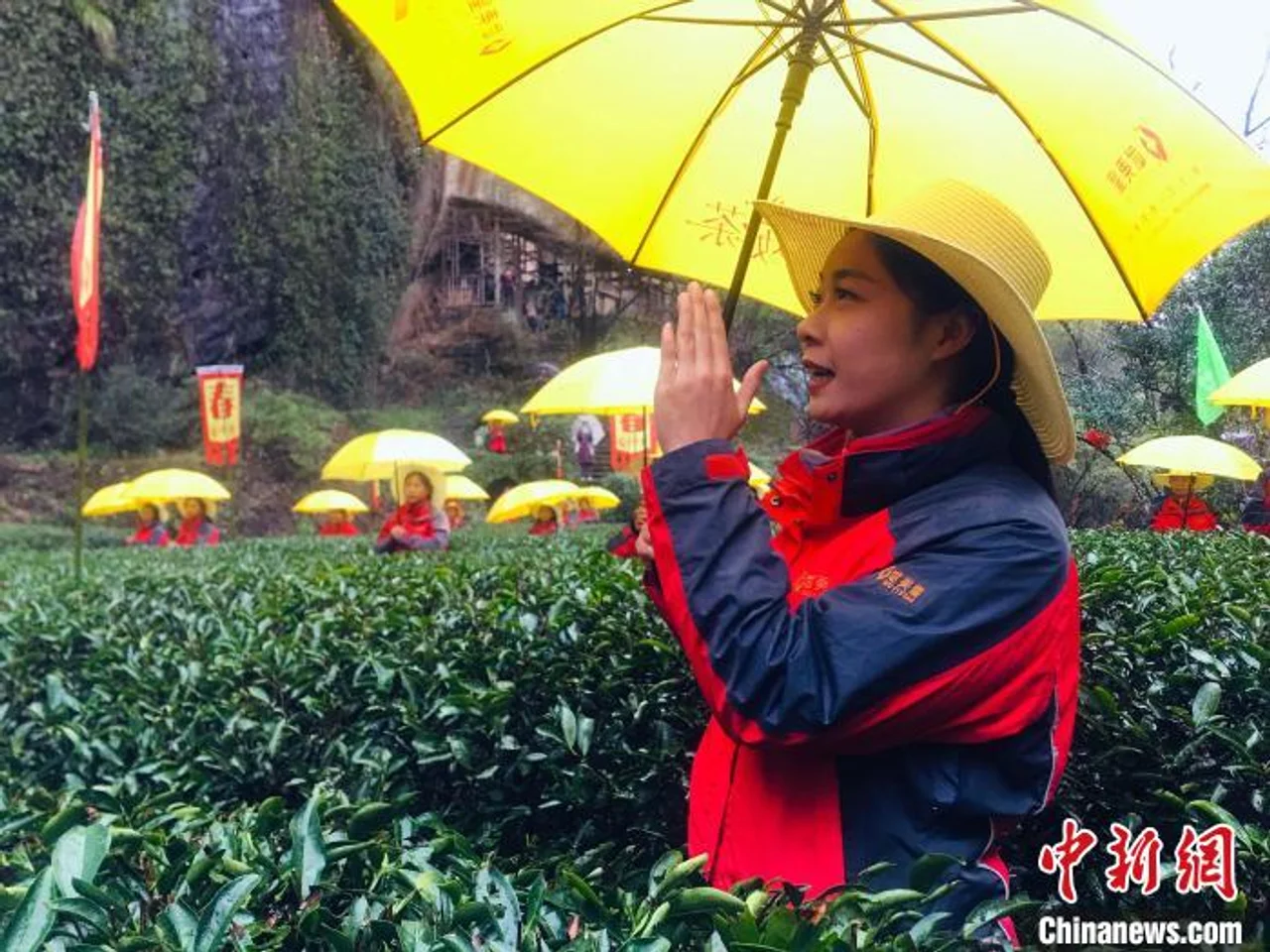 武夷山旅游释放活力 燕子窠、服务区成旅游新热点
