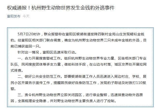 杭州野生动物世界三只未成年金钱豹外逃 已追回一只