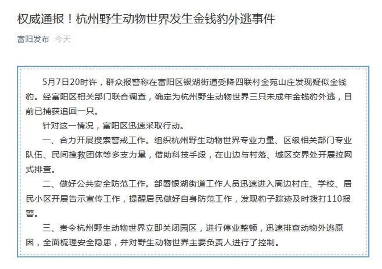 杭州野生动物世界三只未成年金钱豹外逃 已追回一只