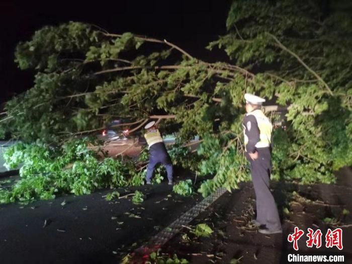 江苏南通现冰雹和大范围雷暴大风 最大风力14级