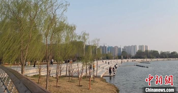 林草生态建设“不越界” 山西严禁违规占用耕地绿化造林