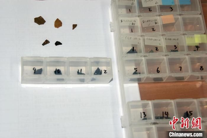 这些约8000万年前的碎蛋壳 可能是鸭嘴龙科恐龙蛋！