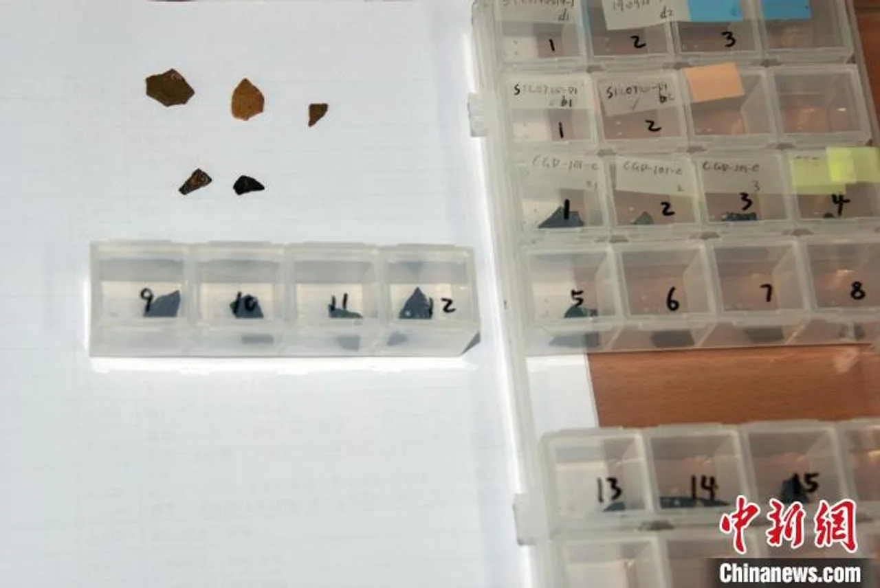 这些约8000万年前的碎蛋壳 可能是鸭嘴龙科恐龙蛋!