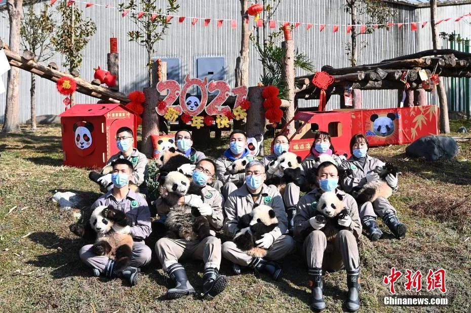 超萌暴击！你有一份“国宝级”新春祝福，请查收~