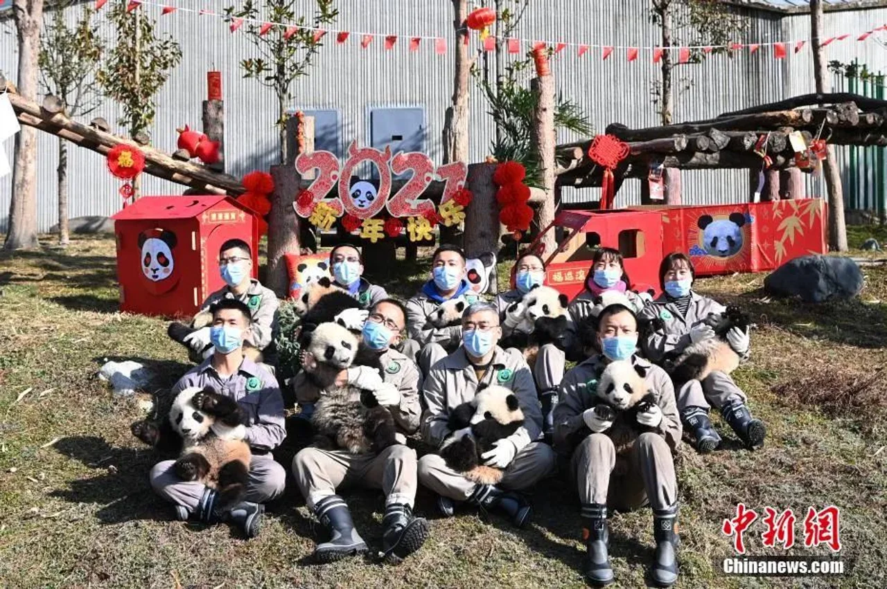超萌暴击!你有一份“国宝级”新春祝福,请查收~