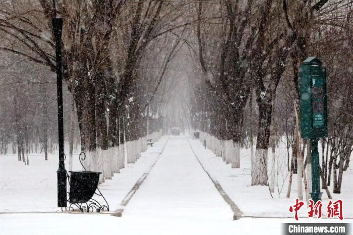 中国边城黑河迎暴雪：机场航班全部取消 偏涝农区延迟备春耕