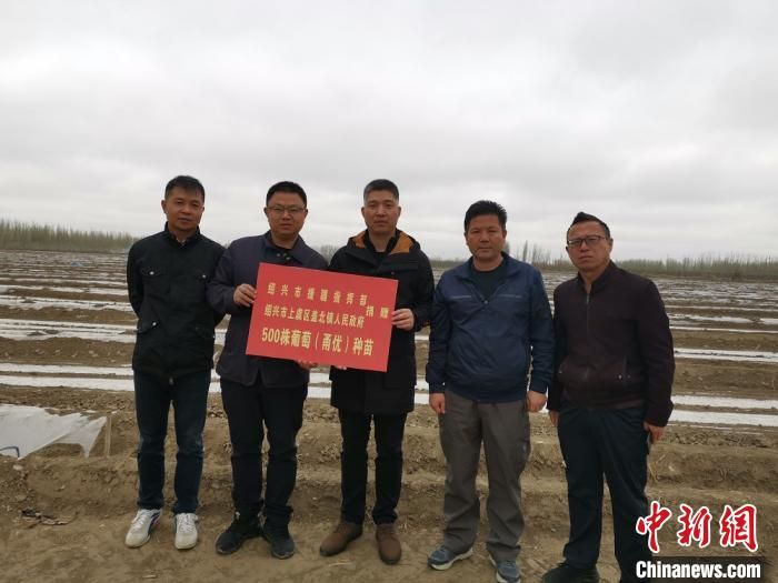 江南葡萄种苗“远嫁”新疆试种 致富果探东西合作新篇