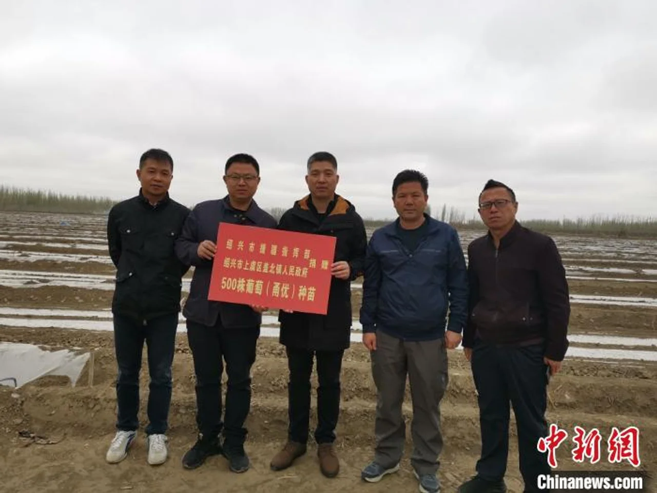 江南葡萄种苗“远嫁”新疆试种 致富果探东西合作新篇