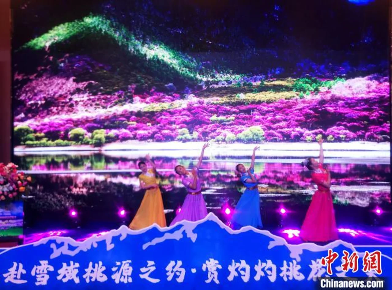 第十九届林芝桃花旅游文化节推介会在拉萨举行
