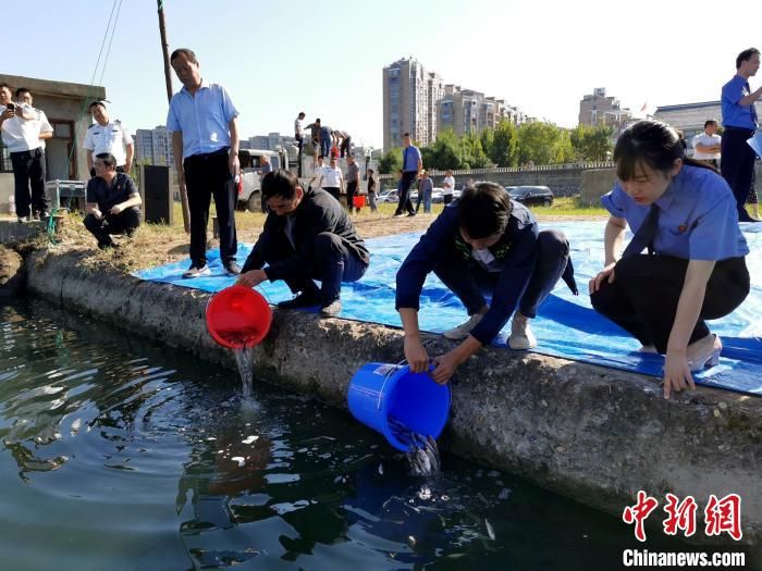 湖北一对父子非法捕捞获刑 自购万尾鱼苗放汉江