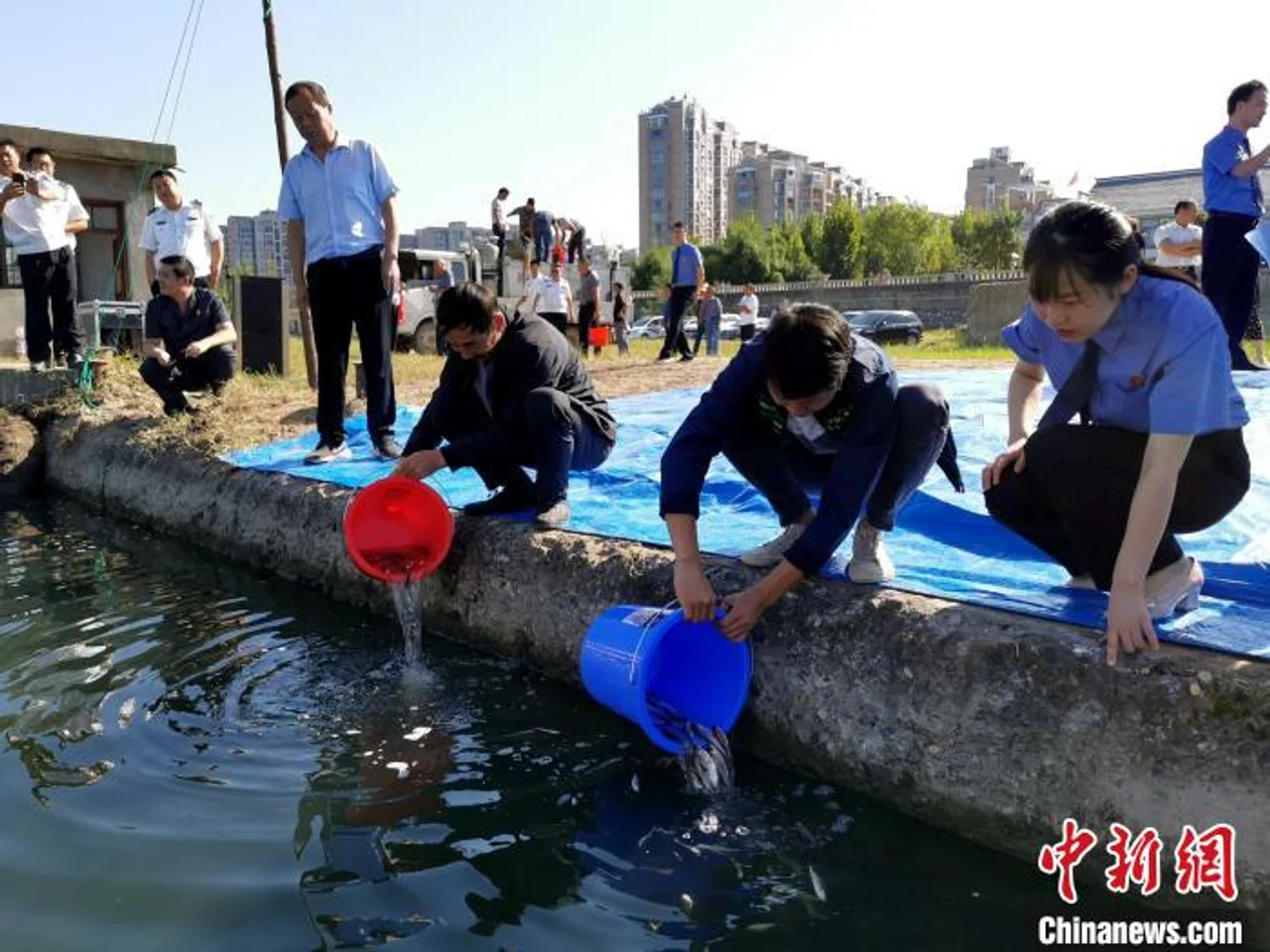 湖北一对父子非法捕捞获刑 自购万尾鱼苗放汉江