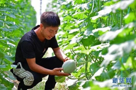 河南兰考：“梦里张庄”产业兴