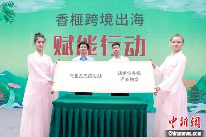 浙江成立千年古树香榧保护基金 马云认养两棵古树
