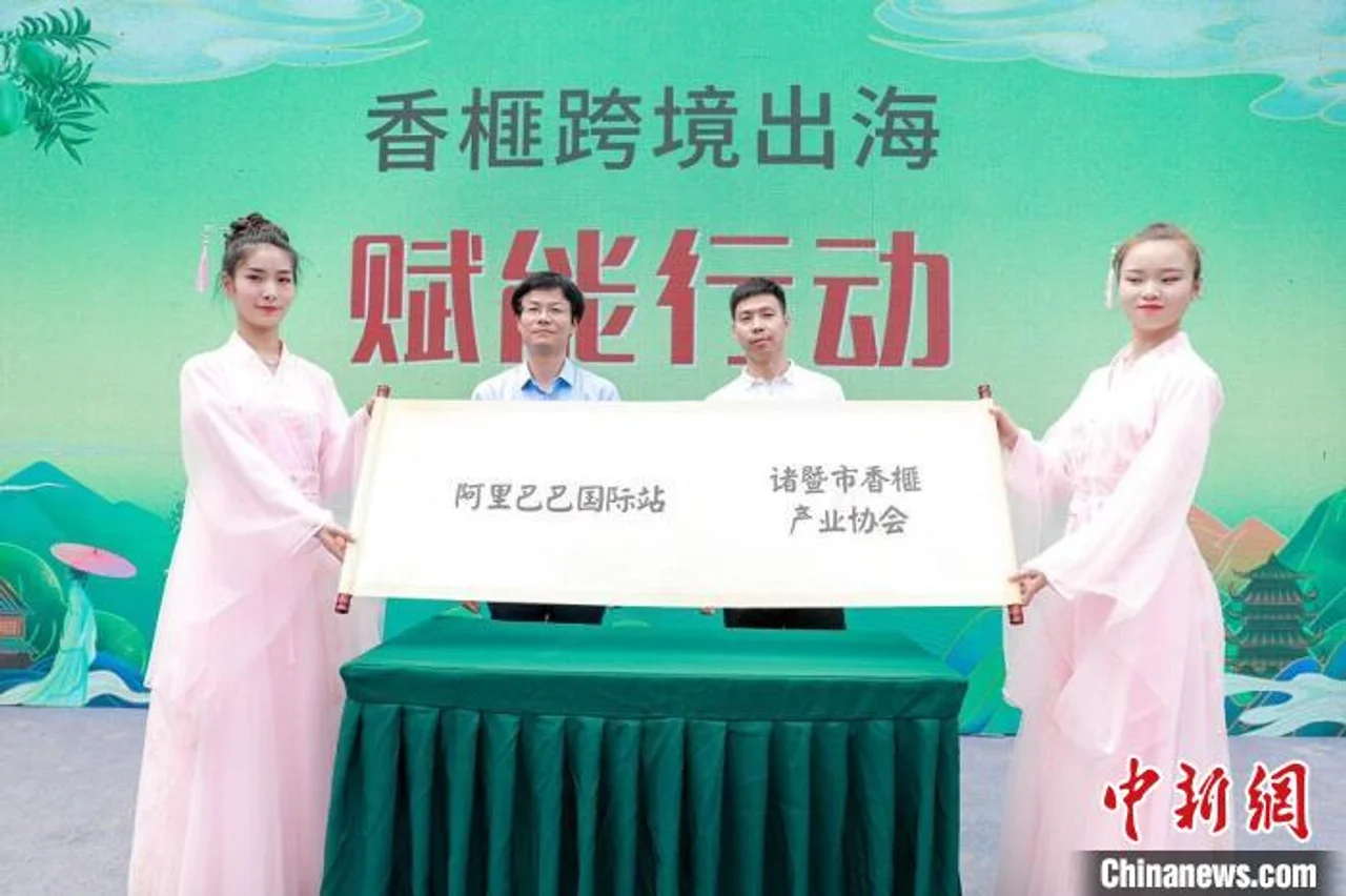 浙江成立千年古树香榧保护基金 马云认养两棵古树