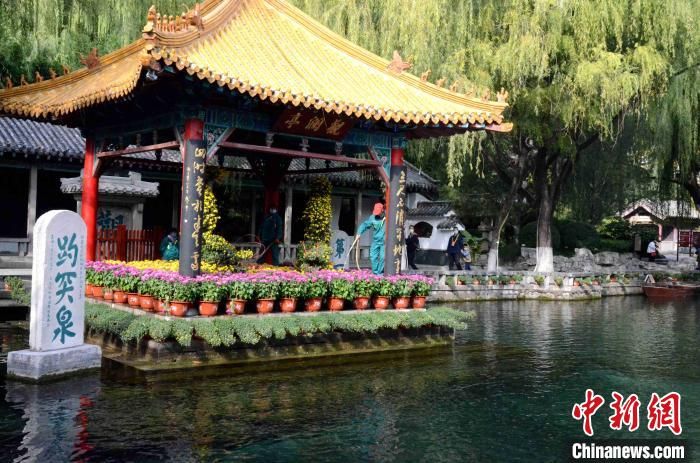 济南趵突泉金秋菊展开幕 名泉古雅建筑艳遇菊花盛宴