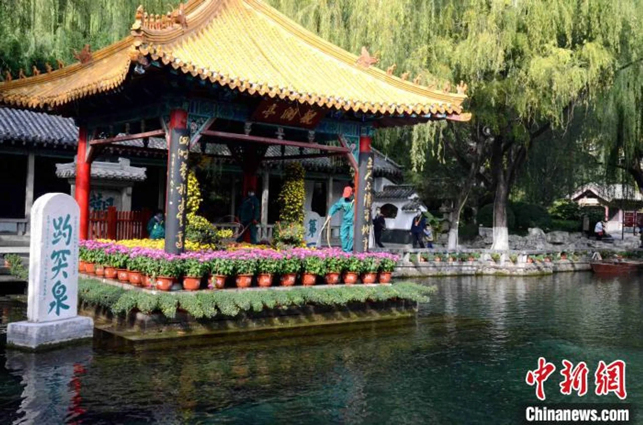 济南趵突泉金秋菊展开幕 名泉古雅建筑艳遇菊花盛宴
