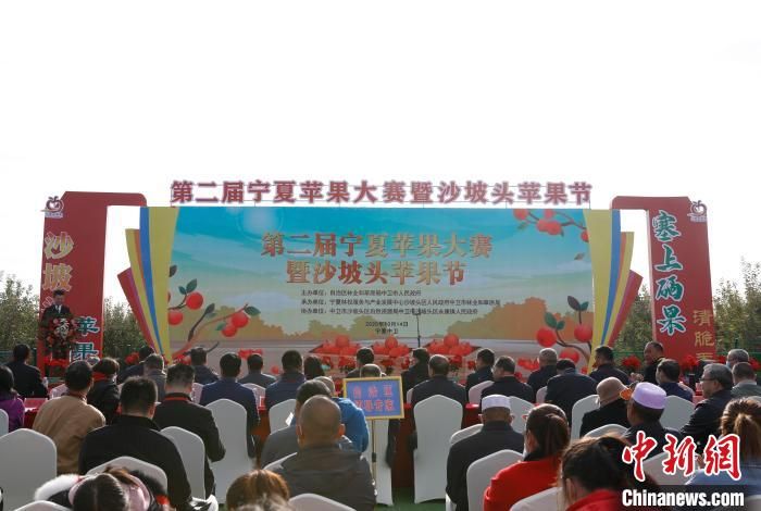 宁夏举办第二届苹果大赛 4颗“果王”脱颖而出