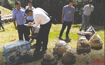 濒危动物上餐桌 起命案牵出的买卖野生动物大案