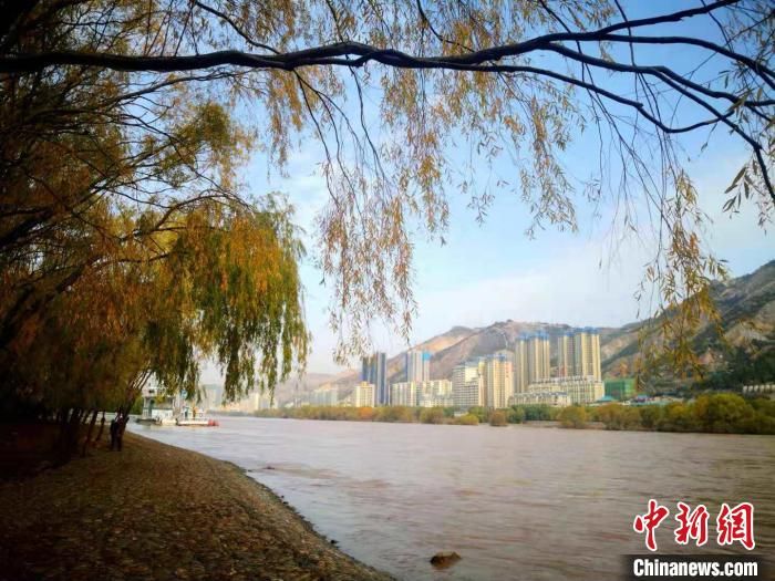 中国黄河流域生态趋好 九省区沿黄“植绿”