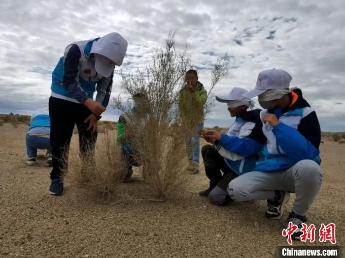 祁连山国家公园：加强青少年自然教育 助力国家公园建设