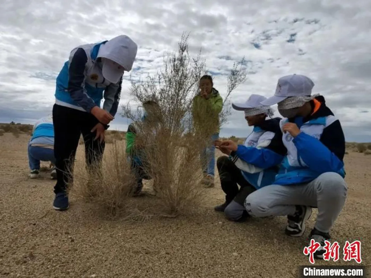 祁连山国家公园:加强青少年自然教育 助力国家公园建设