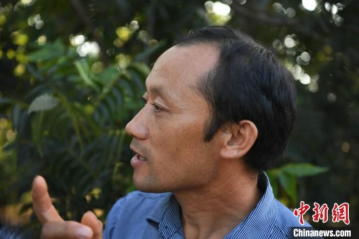 安徽全椒：薄壳山核桃助力精准扶贫