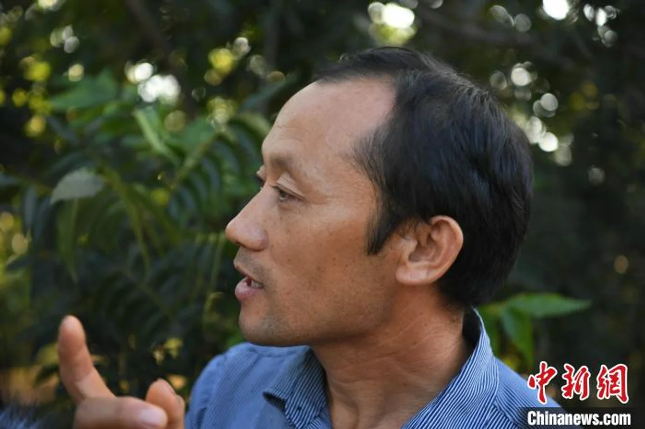 安徽全椒:薄壳山核桃助力精准扶贫