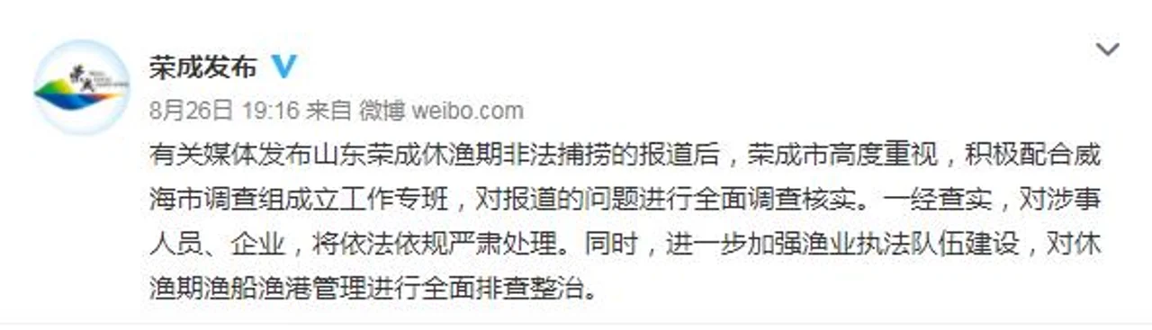 山东荣成回应“休渔期非法捕捞”:全面调查严肃处理