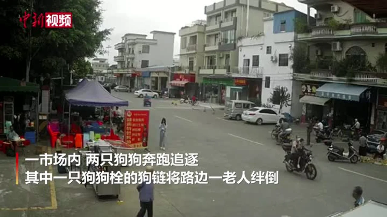 老人被狗绳绊倒身亡 官方:初步判断为意外事件