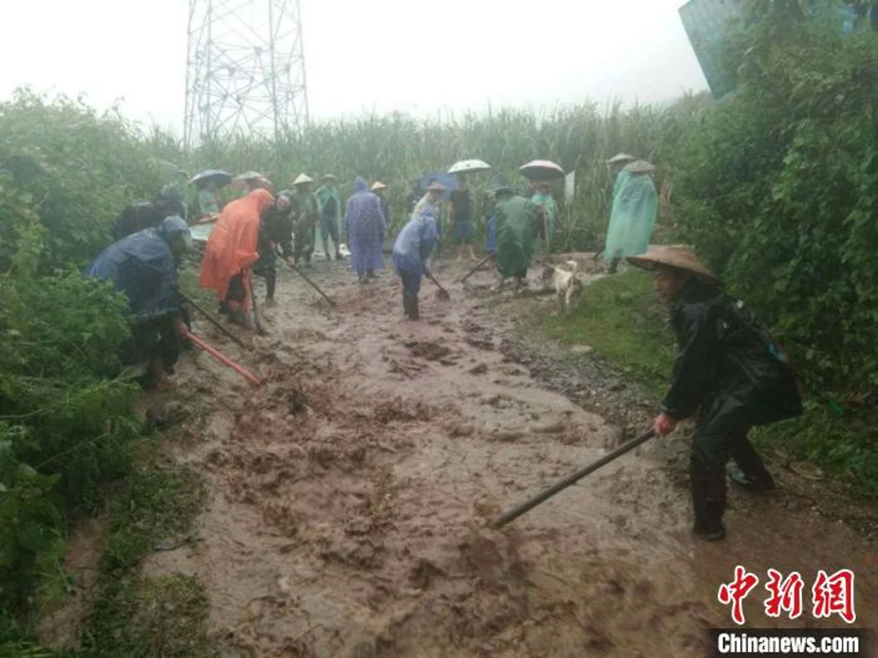 云南盈江持续强降雨致部分乡镇受灾 3人失联