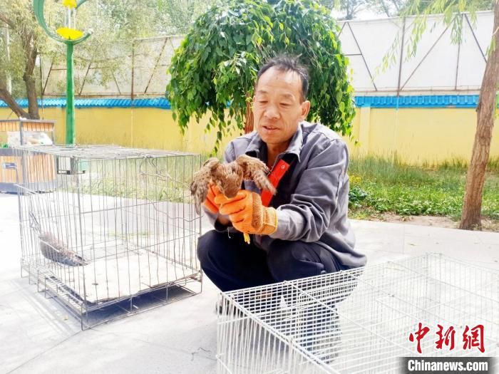 青海格尔木警方成功救助两只国家二级重点保护野生动物