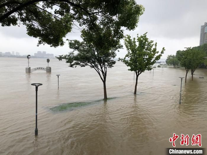 江苏升级石臼湖秦淮河等洪水预警 预测水位继续上涨