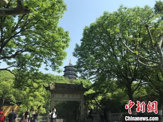 男子杭州雷峰塔“搬砖” 被警方处以行政处罚