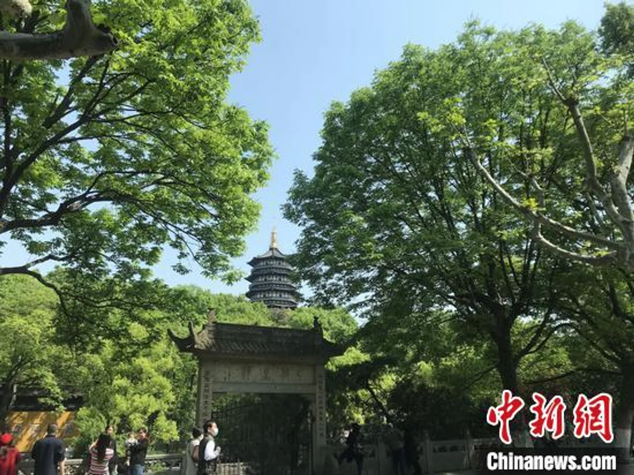男子杭州雷峰塔“搬砖” 被警方处以行政处罚