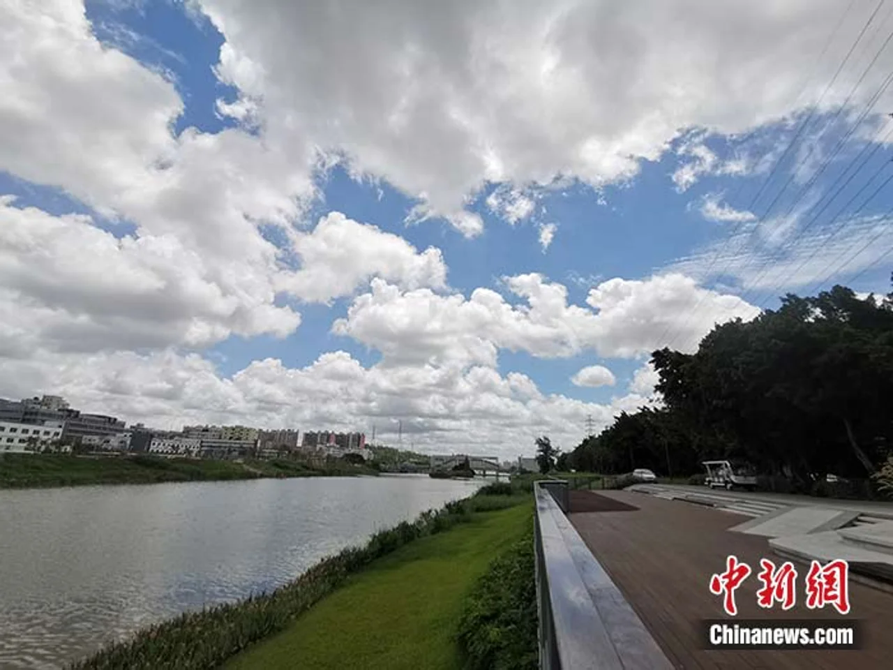 深圳宝安治水奇迹:巴掌大的黑臭水体都不能有