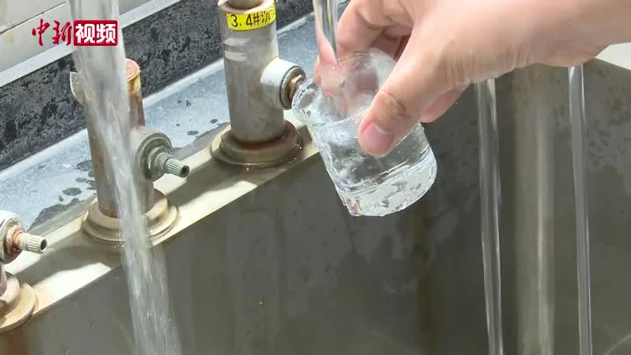 4万余次训练、不用香水、不吃大蒜 品水师这样炼成