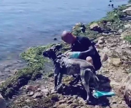 游客在云南大理洱海边清洗宠物狗 被罚1000元