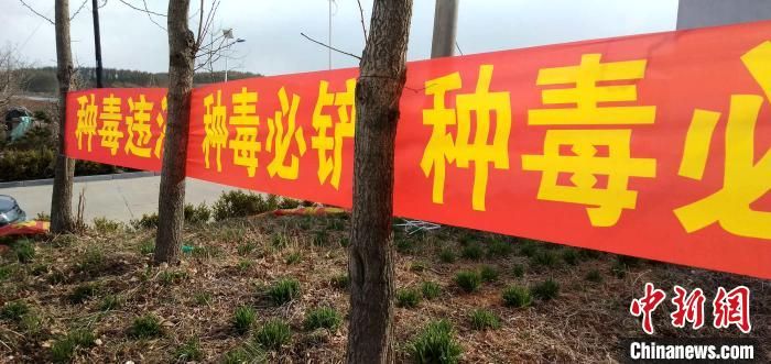 辽宁丹东：全面开展禁种铲毒工作