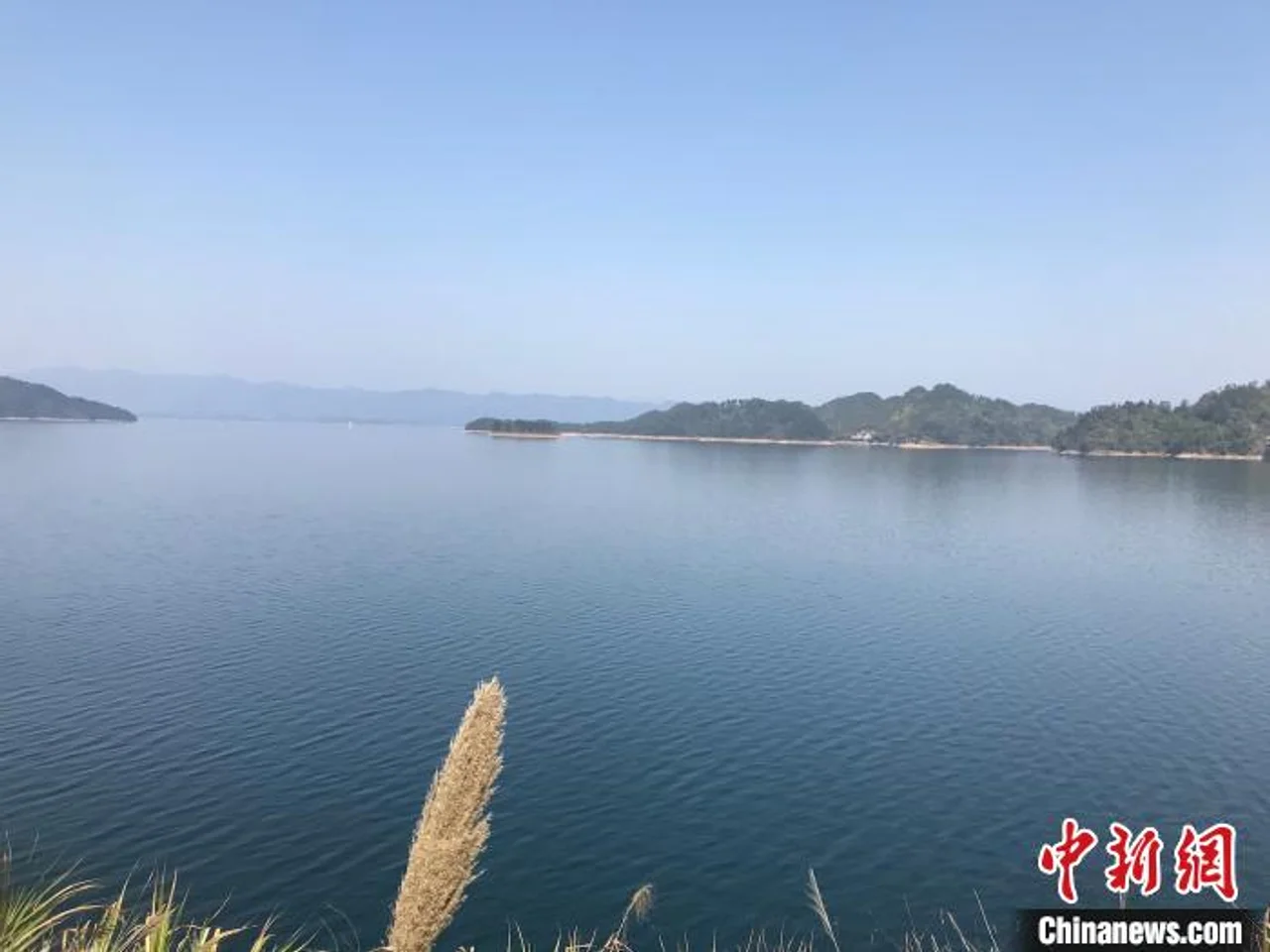 杭州千岛湖首次因防汛暂停游客接待 部分景点被淹