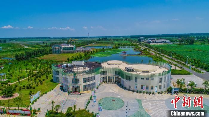 新晋网红小城：江苏金湖走“花为媒”全域旅游新路