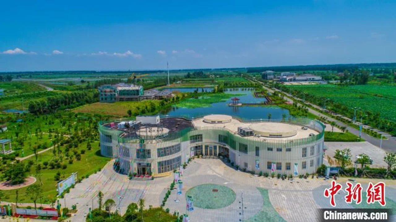 新晋网红小城:江苏金湖走“花为媒”全域旅游新路