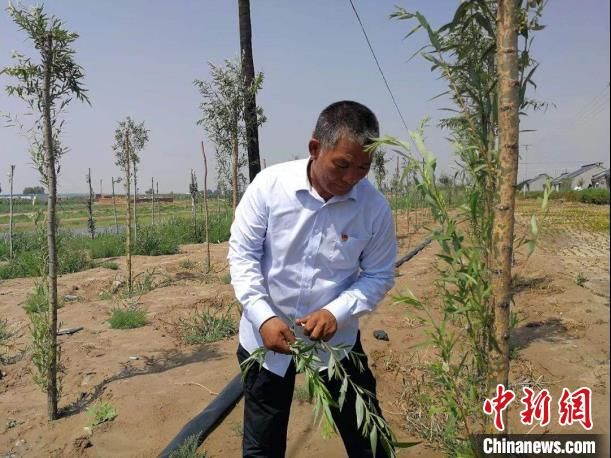 在中国第七大沙漠上“淘金”的农牧民：“感受到小康味道”