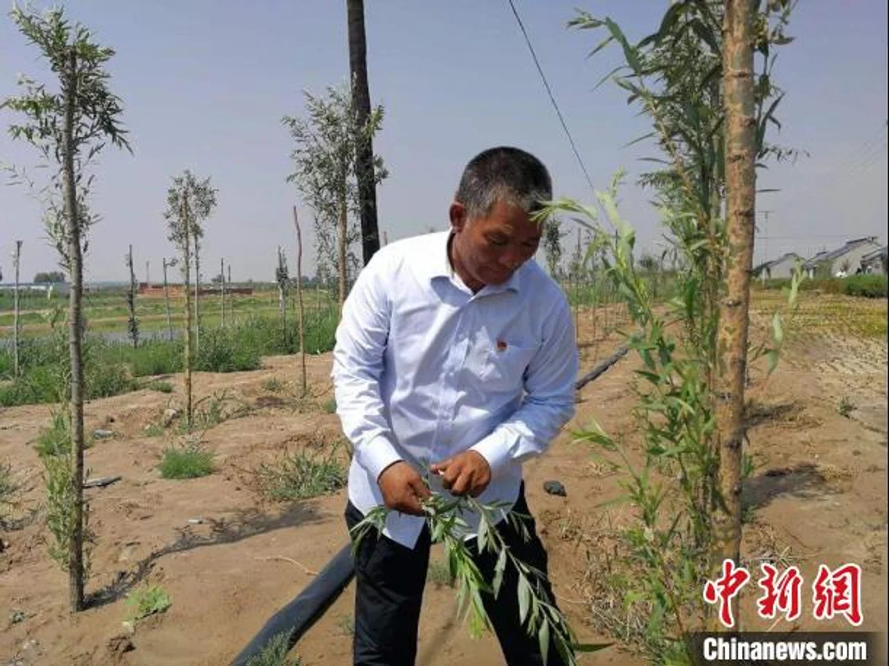 在中国第七大沙漠上“淘金”的农牧民:“感受到小康味道”