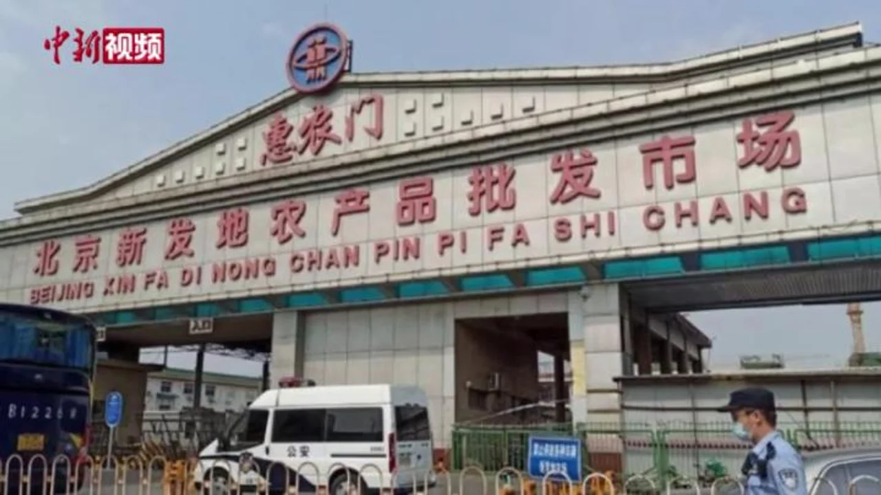 三进新发地市场 中国疾控中心病毒病所发现了什么?