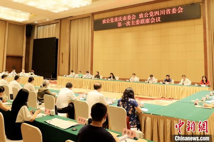 川渝致公党携手共助成渝地区双城经济圈建设