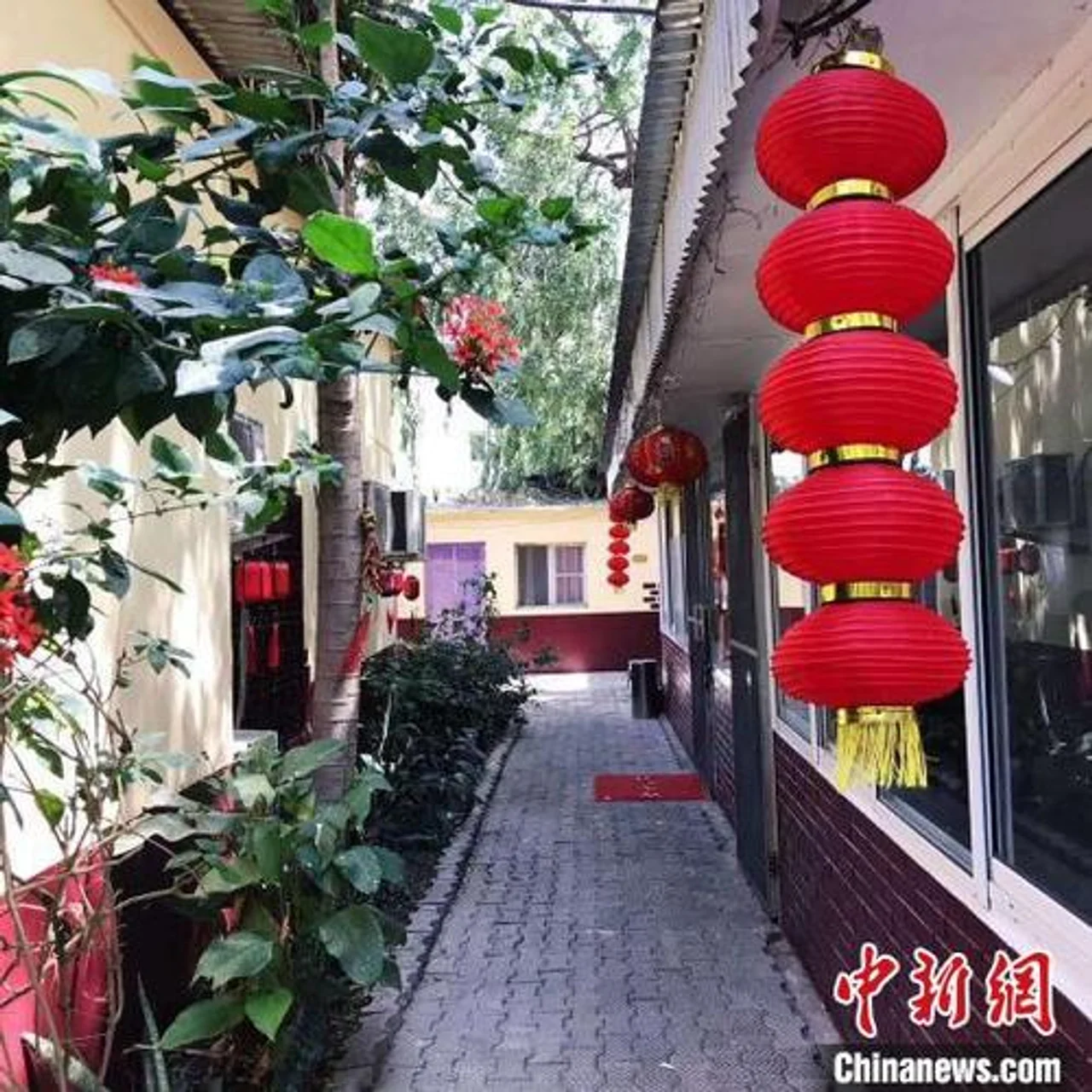 海外“抗疫”:旅非侨胞疫情下的冷暖生活
