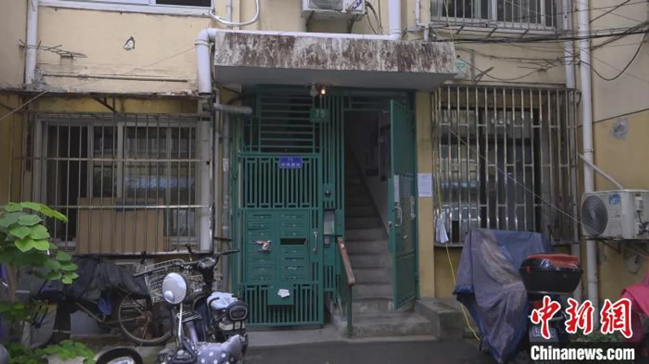 上海一夫妻把房让给66只猫住后续:减至13只 已做绝育